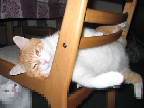 10年最佳欧冠战役:回味无穷的黄金赛季,欧冠最近十年冠军