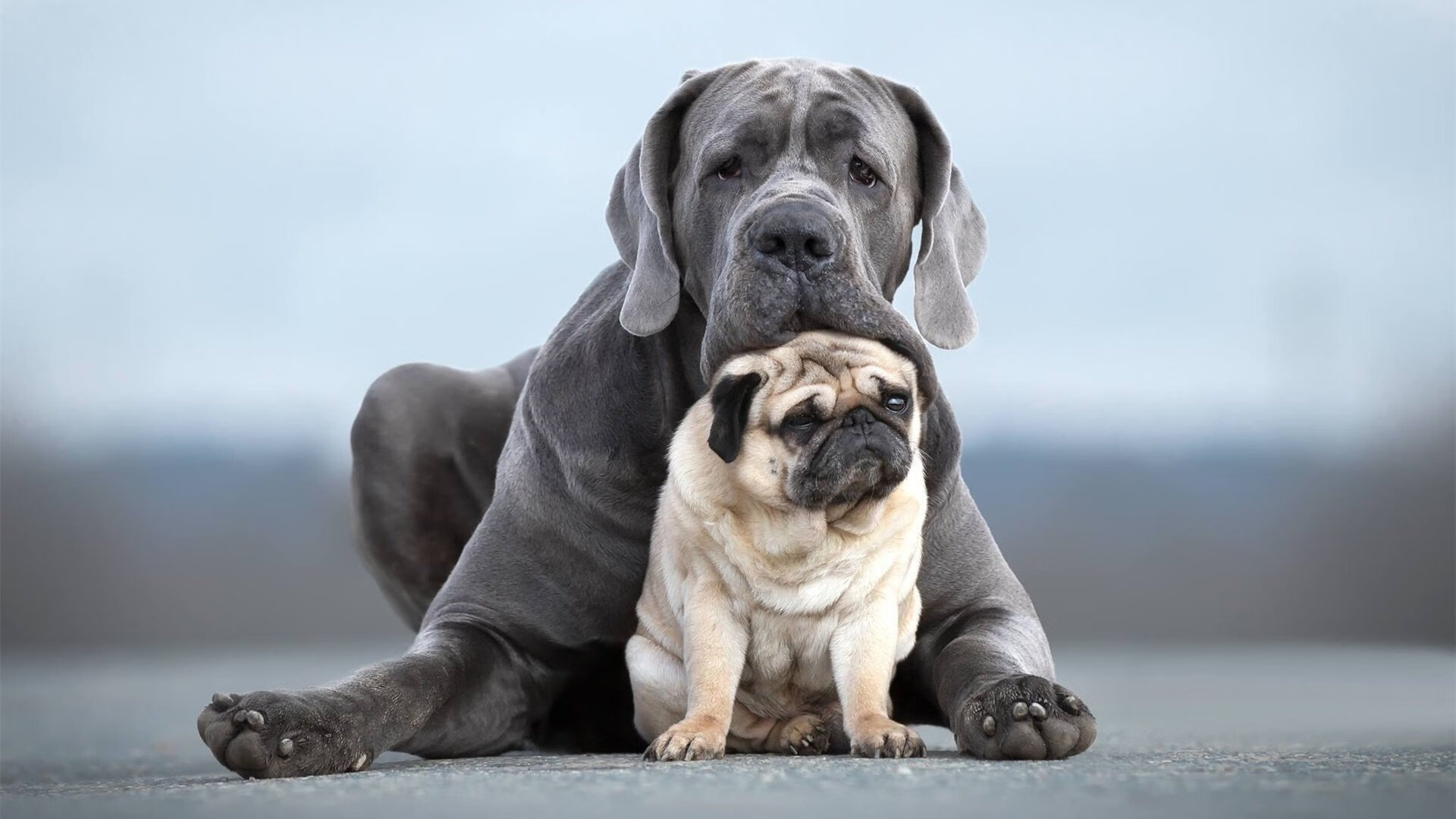 AIYOUXI.COM-_城市争锋：新区新赛道赢得热烈反响_，城市争夺战攻略68关怎么过