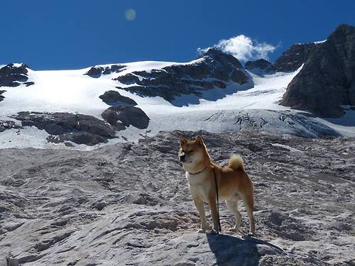 _城市漂移赛：汽车与城市的速度狂欢_，城市飘移赛车