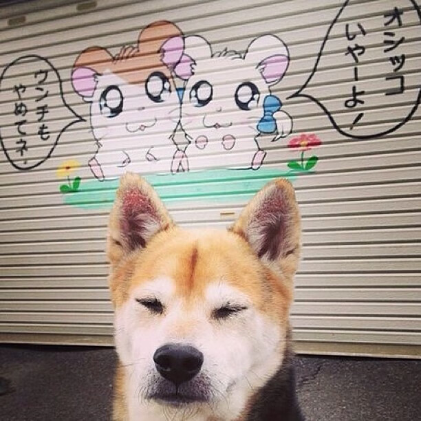 _数字竞技赛场:虚拟运动的无限可能_,数字竞技大赛