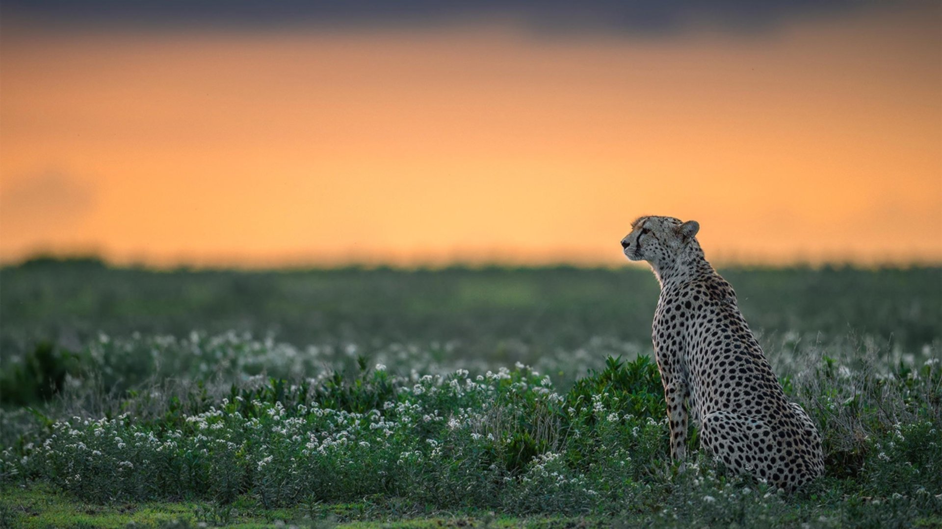_海底探险滑翔:在海底世界畅快遨游_,海底探险绘画