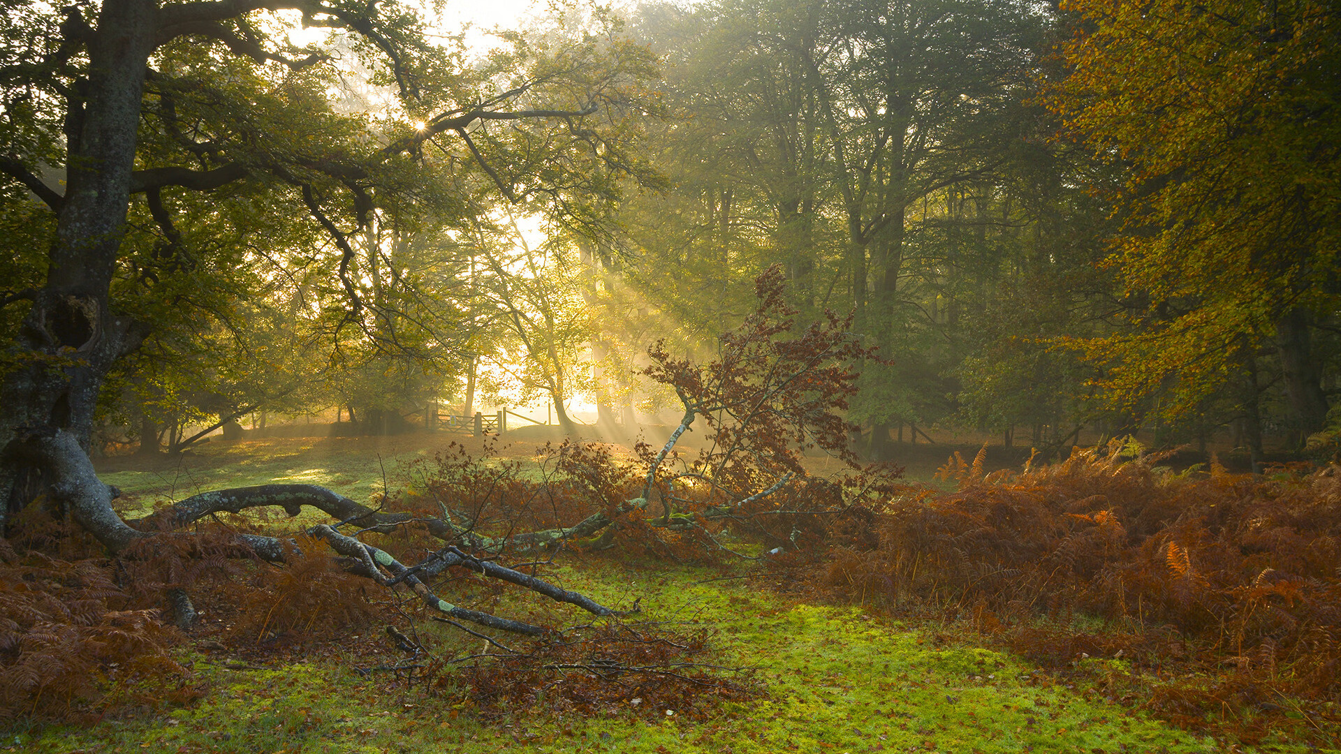 _青少年网球计划启动,为未来培养新力量_,青少年网球训练计划