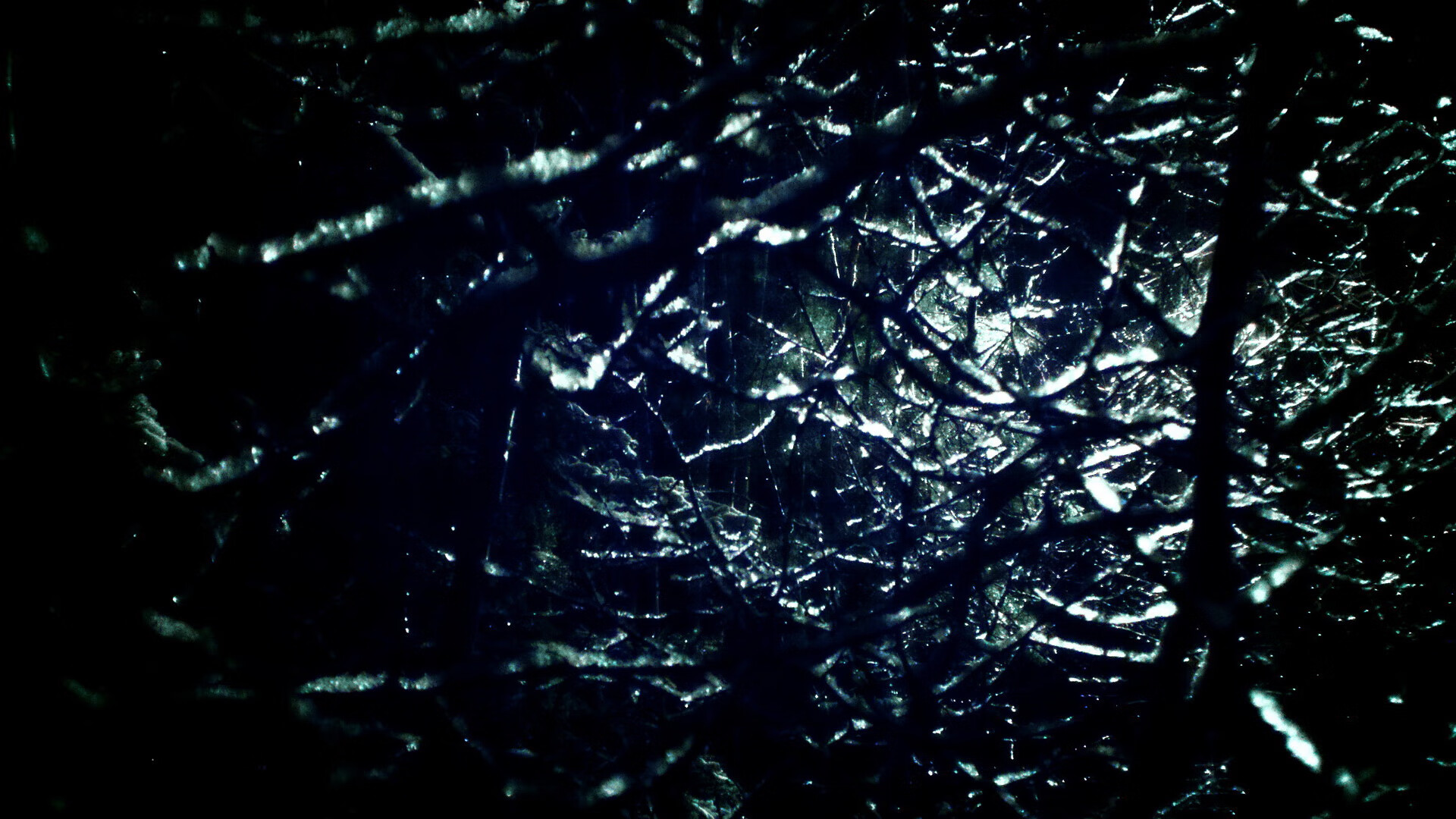 北京队打造青春风暴,培养年轻球员成为重点,北京青年队篮球队