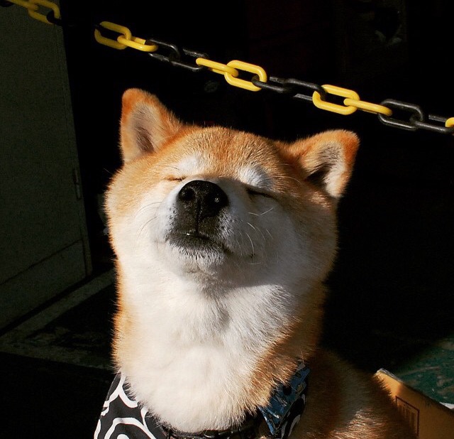 巴萨控球时间创新高,逐步蚕食防线,巴萨传控进球集锦