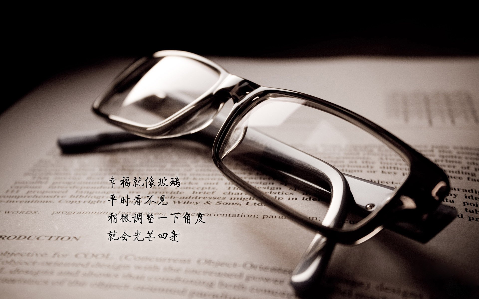 AIYOUXI.COM-最“萌”的比赛：球迷与动物的趣味互动，动物踢球的游戏