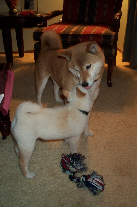 爱游戏体育（AYX）官方APP下载-比赛现场：运动员与观众的互动盛宴，运动员比赛场景