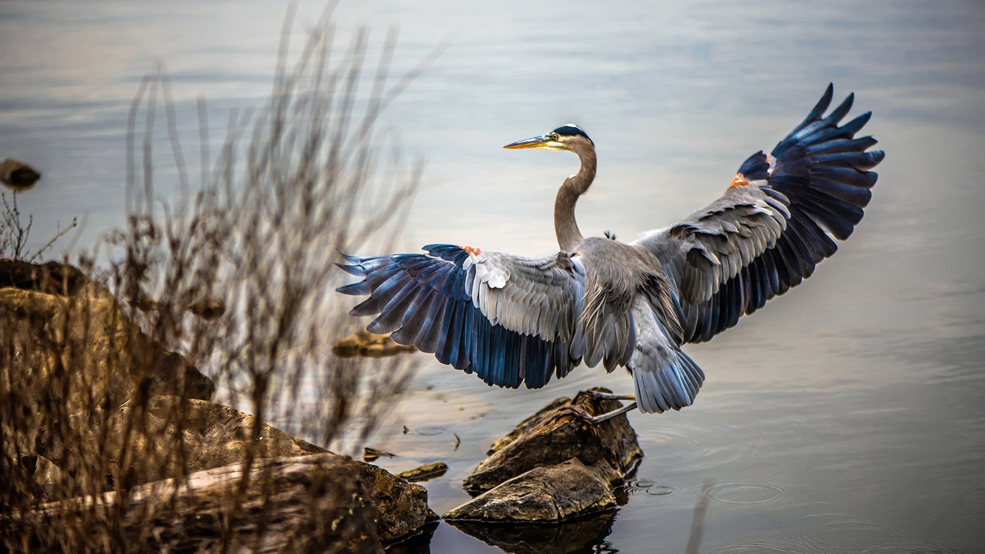 青少年篮球领袖培训计划正式启动,强化青训体系,青少年篮球培训课程安排