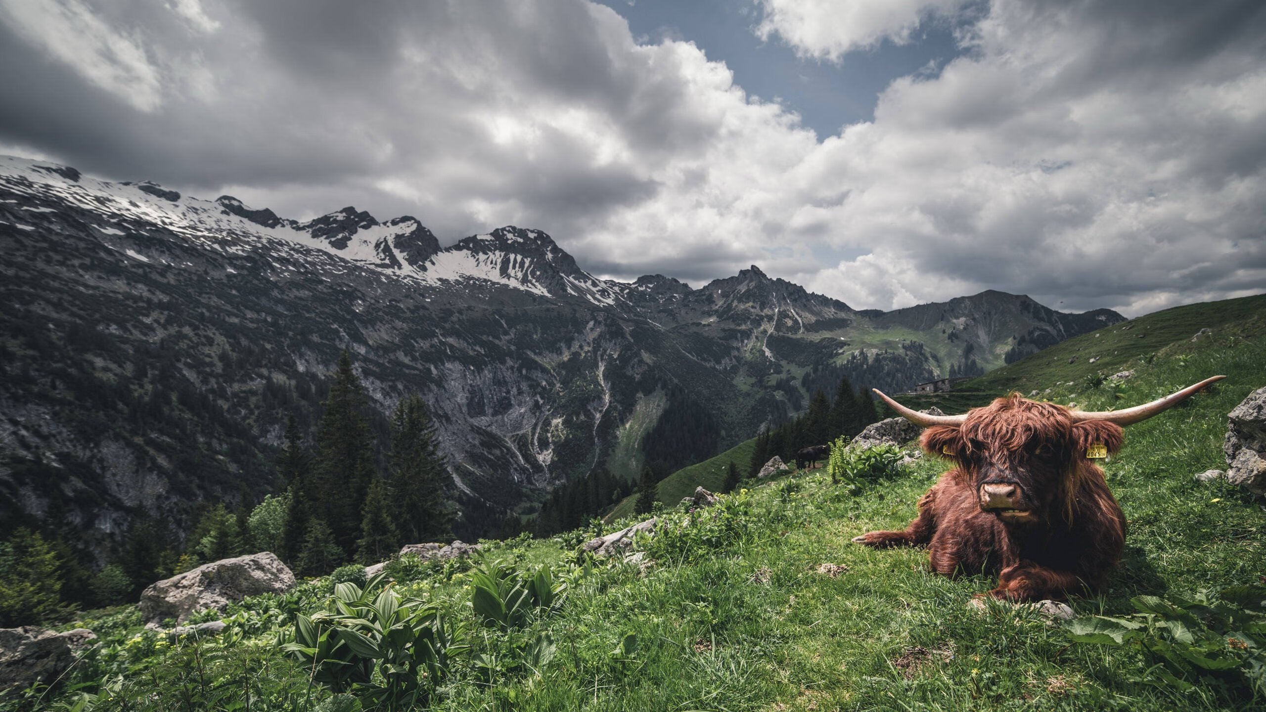 CBA联赛青年球员培养体系研究,cba青年队要上学吗