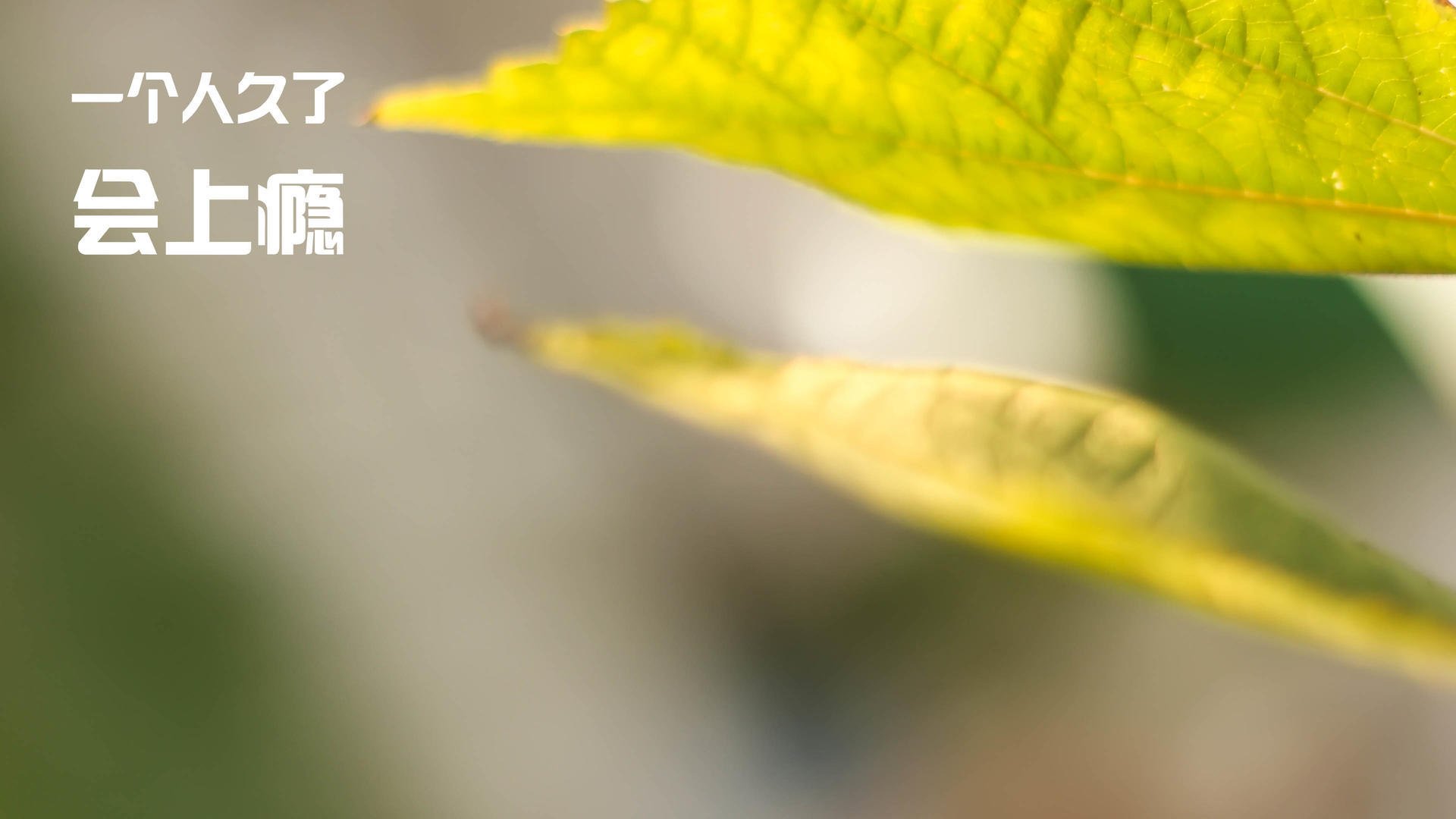 爱游戏官方-利物浦横扫皇马，成功晋级欧冠半决赛！，利物浦横扫皇马,成功晋级欧冠半决赛的是谁