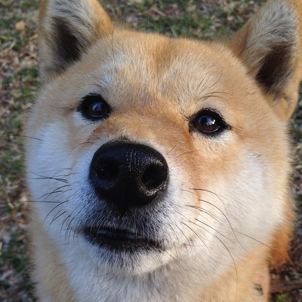 爱游戏下载-博卡青年赛季目标明确，博卡青年队