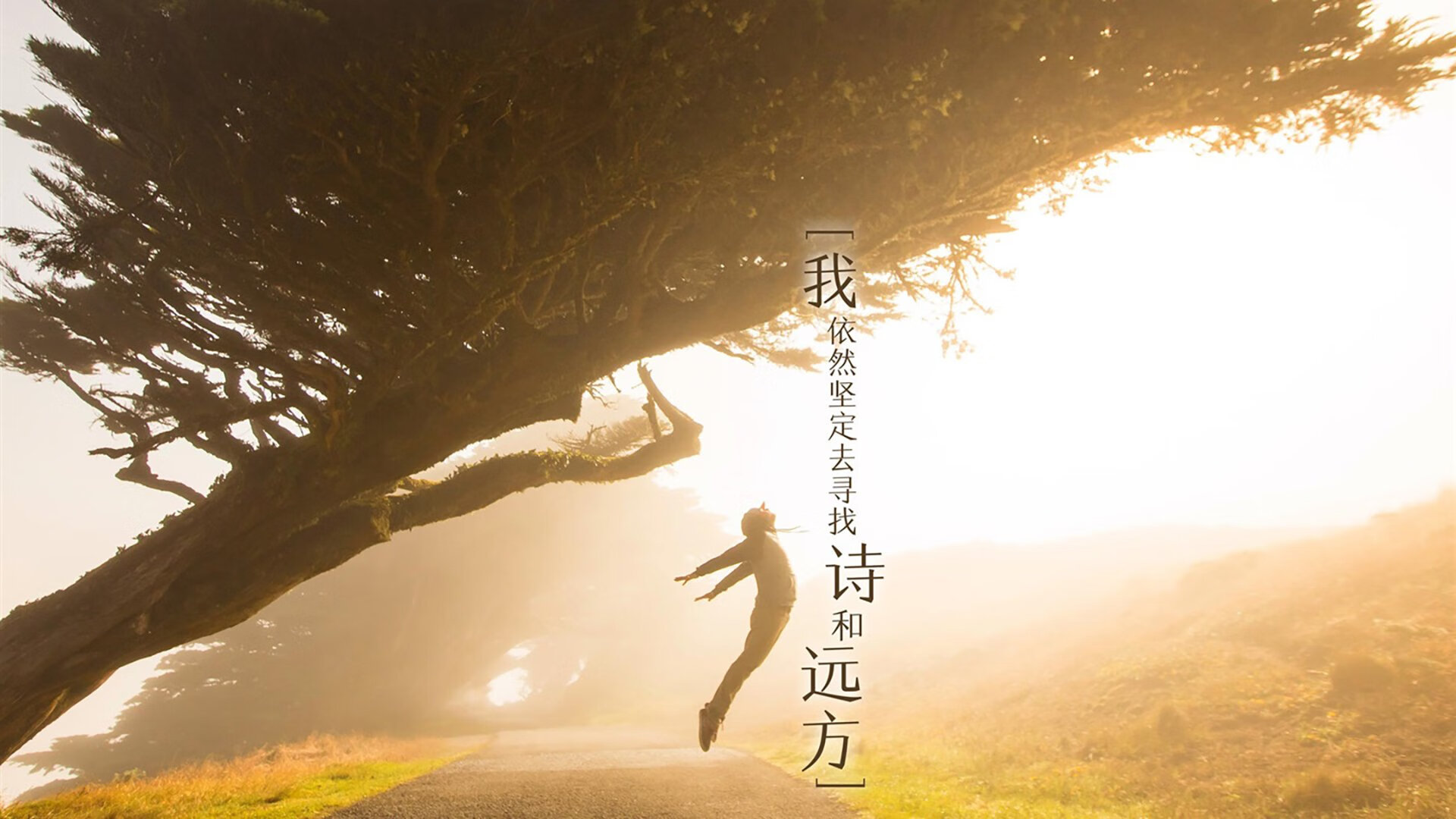 女足国家队攻防体系日益成熟,女足国家队攻防体系日益成熟的原因