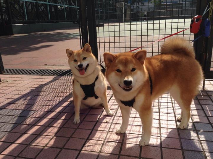 爱游戏体育app-热血激荡！球队斗志昂扬誓要夺得胜利，球队鼓舞士气的话