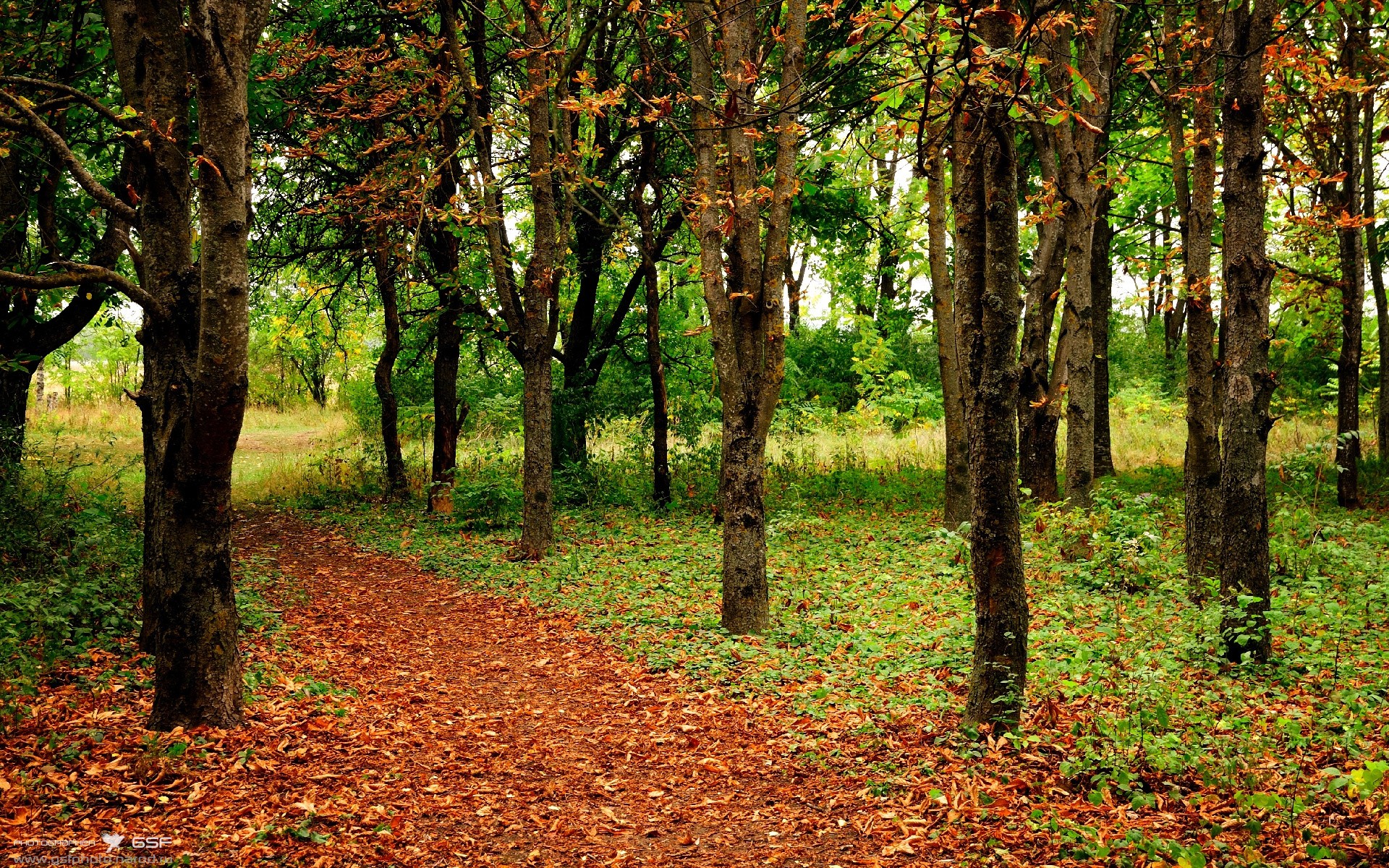爱游戏娱乐网址-积极配合，球员团结一心争取最后胜利！，团队配合进球