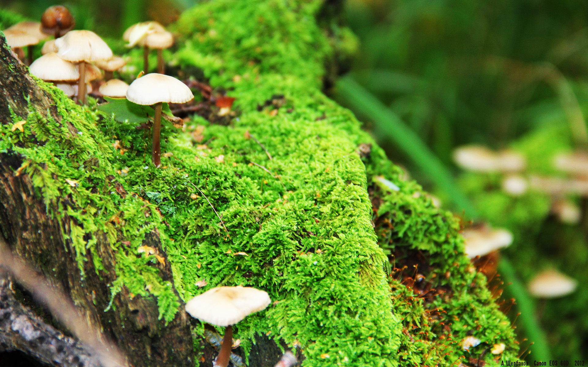 爱游戏体育官方网站-联盟是否应制定专属球员退役规范，联盟退役球衣