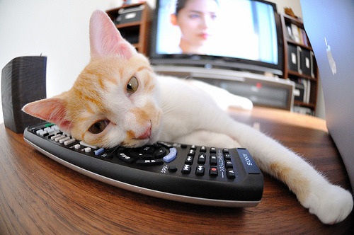 联盟是否应制定专属球员退役规范,联盟退役球衣