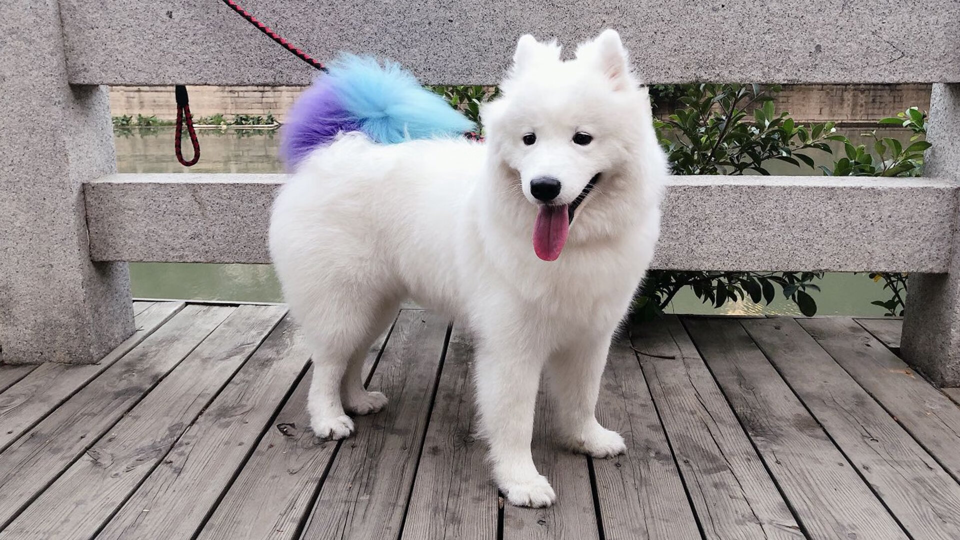 智能装备推广应用,智能装备设备