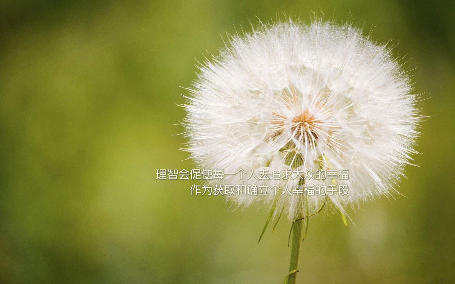 联赛黑马:那些让人意料之外的球队晋级路,哪些球队晋级12强