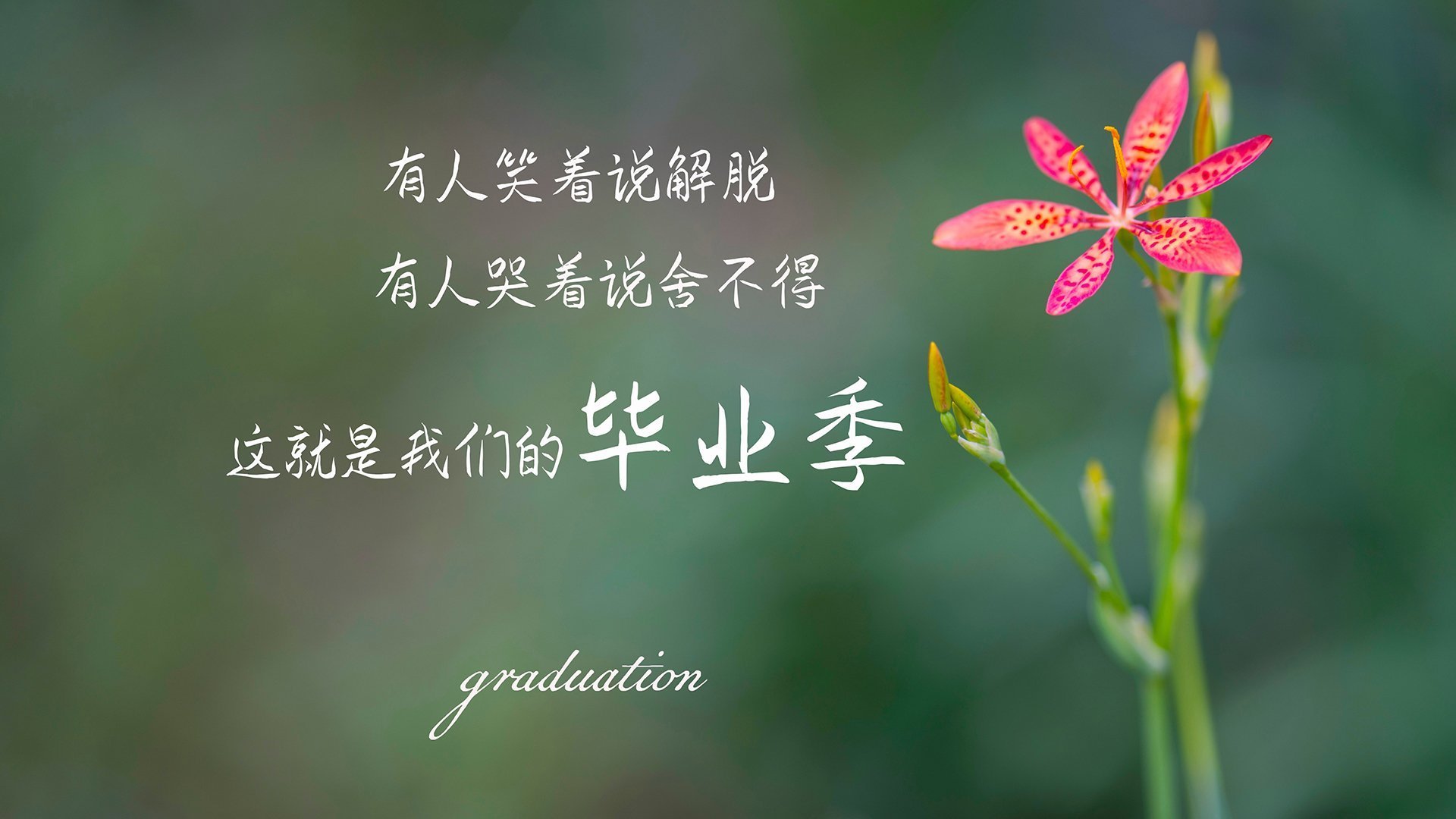 爱游戏娱乐-五大联赛是否出现更多由门将发起的直接进攻组织，五大联赛会变化吗