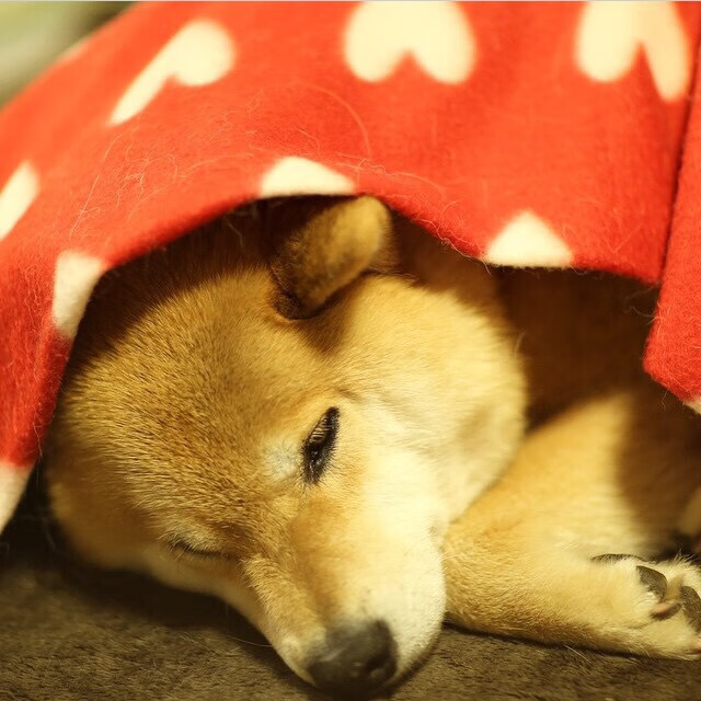 体测制度优化引导学生关注体能发展,体测实施方案