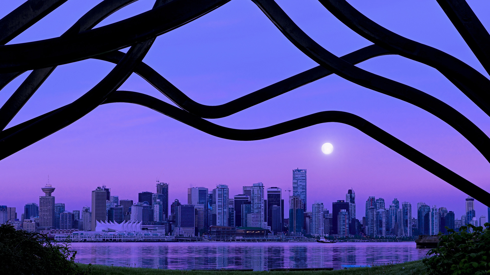 全国跳水精英赛小将频出佳绩,2021全国跳水锦标赛视频