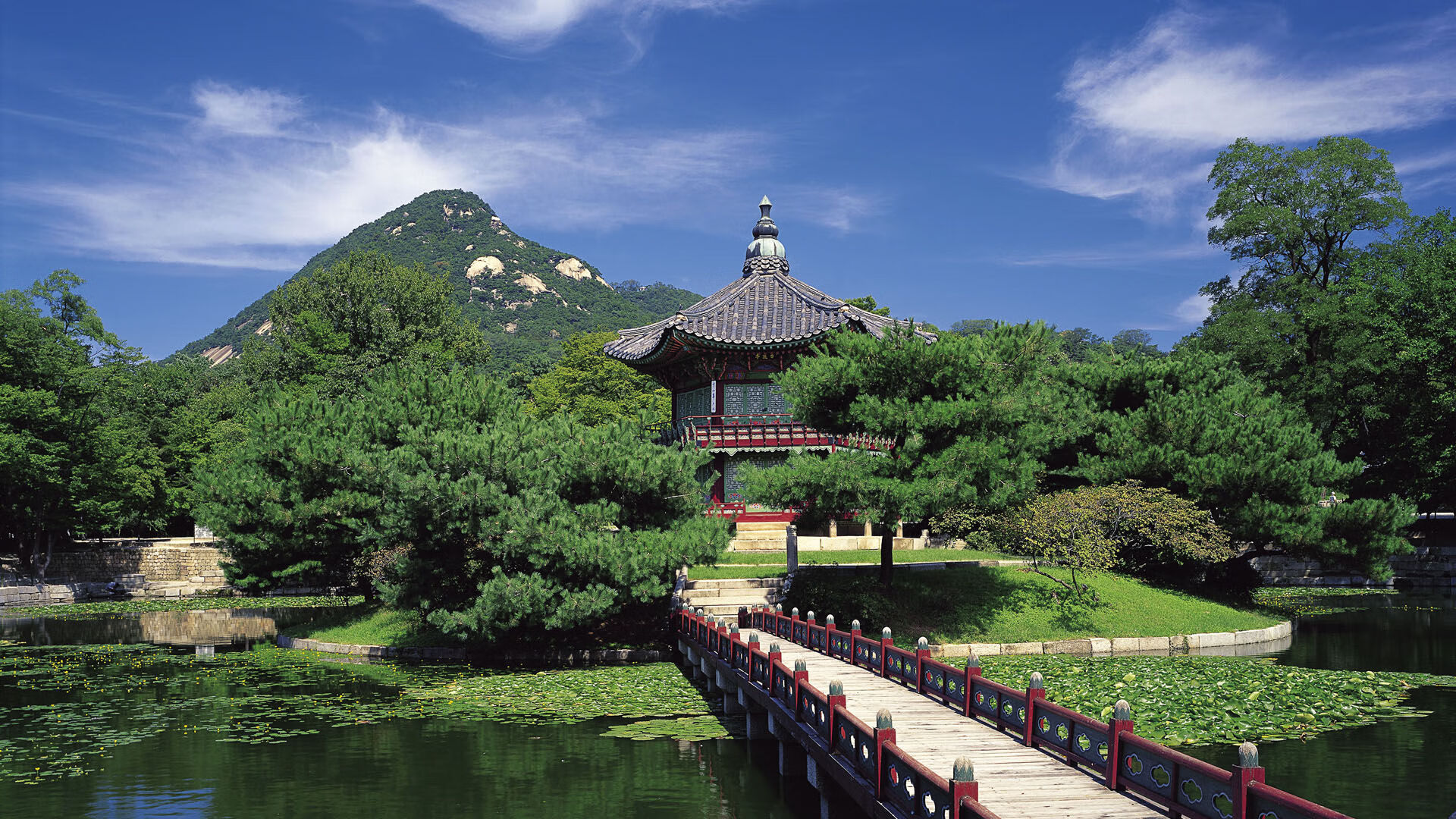 足球媒体报道偏娱乐化影响公众认知,十大足球媒体