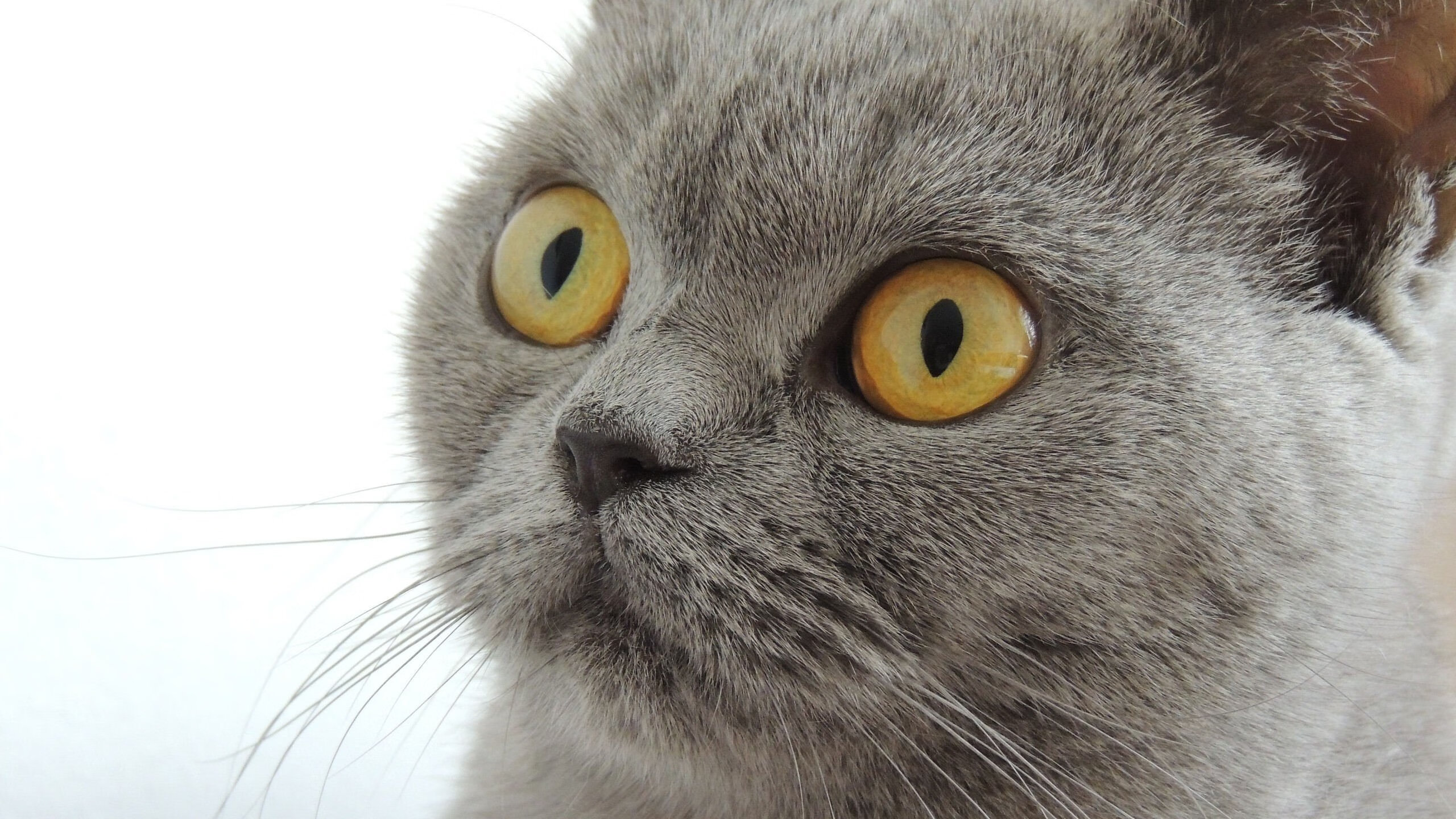 爱游戏下载-出发反应快，减震滑行时间缩短，汽车滑行减速快