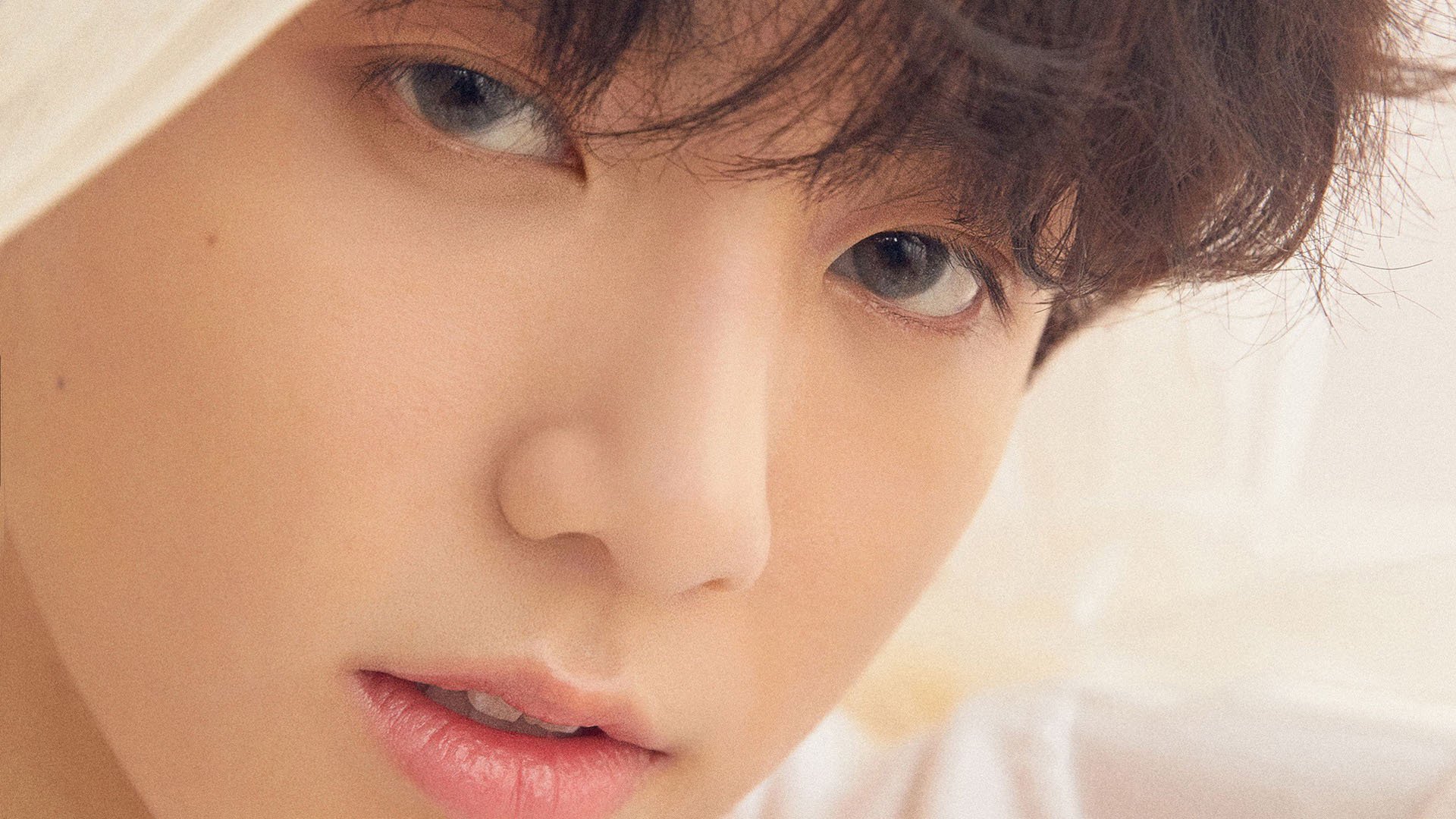 AYX GAMING-美洲杯明星球员的商业价值，美洲杯明星球员的商业价值是什么